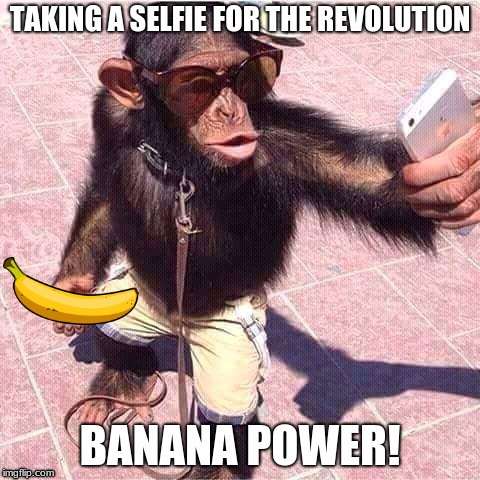 Selfie Monkey | image tagged in monkey,banana,selfie | made w/ Imgflip meme maker