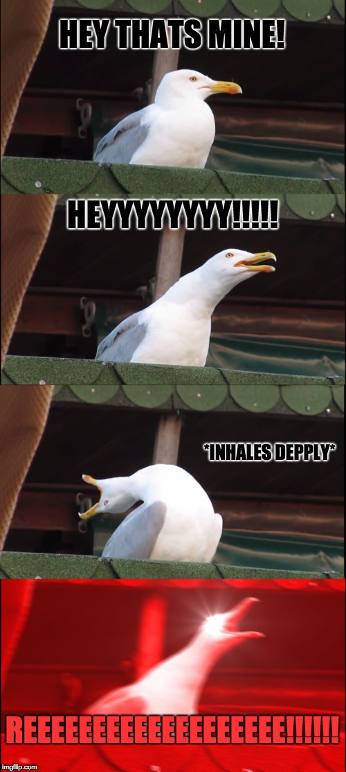 Inhaling Seagull | HEY THATS MINE! HEYYYYYYYY!!!!! *INHALES DEPPLY*; REEEEEEEEEEEEEEEEEEE!!!!!! | image tagged in memes,inhaling seagull | made w/ Imgflip meme maker