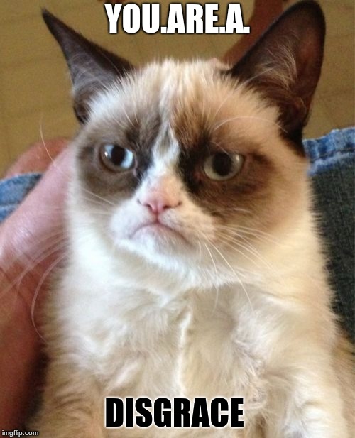 Grumpy Cat Meme | YOU.ARE.A. DISGRACE | image tagged in memes,grumpy cat | made w/ Imgflip meme maker