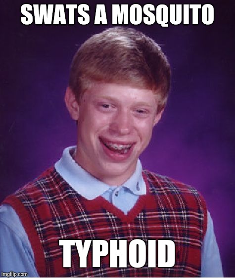 Bad Luck Brian | SWATS A MOSQUITO; TYPHOID | image tagged in memes,bad luck brian | made w/ Imgflip meme maker