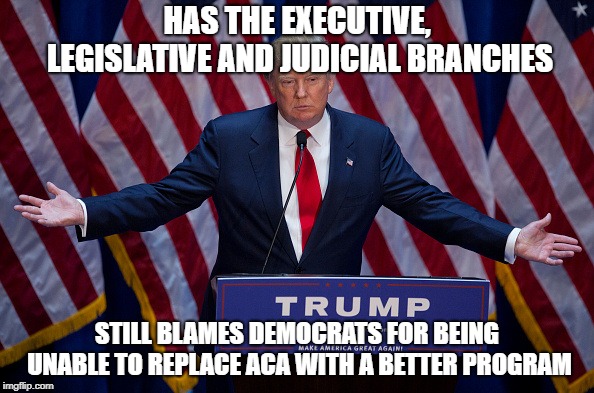 Donald Trump | HAS THE EXECUTIVE, LEGISLATIVE AND JUDICIAL BRANCHES; STILL BLAMES DEMOCRATS FOR BEING UNABLE TO REPLACE ACA WITH A BETTER PROGRAM | image tagged in donald trump | made w/ Imgflip meme maker