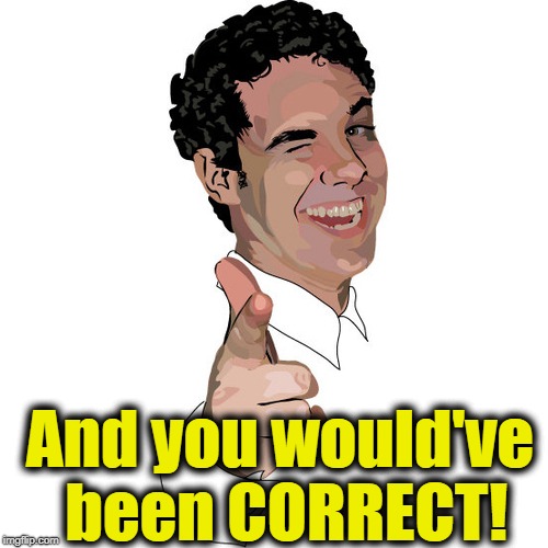 wink | And you would've been CORRECT! | image tagged in wink | made w/ Imgflip meme maker