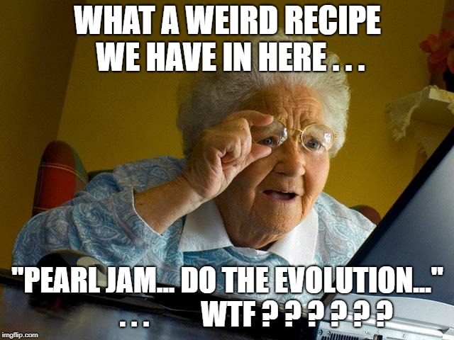 Grandma Finds The Internet Meme | WHAT A WEIRD RECIPE WE HAVE IN HERE . . . "PEARL JAM... DO THE EVOLUTION..."          . . .         WTF ? ? ? ? ? ? | image tagged in memes,grandma finds the internet | made w/ Imgflip meme maker