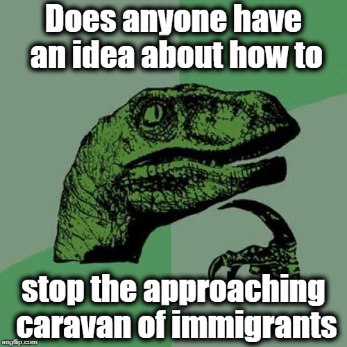 Now there are two of them | Does anyone have an idea about how to; stop the approaching caravan of immigrants | image tagged in memes,philosoraptor | made w/ Imgflip meme maker
