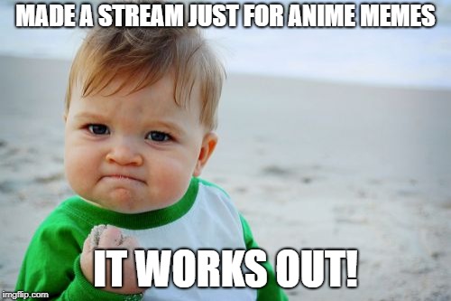 I'm surprised that no one else tried making their own streams! | MADE A STREAM JUST FOR ANIME MEMES; IT WORKS OUT! | image tagged in memes,success kid original | made w/ Imgflip meme maker