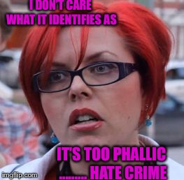 Femanazi triggered  | I DON’T CARE WHAT IT IDENTIFIES AS IT’S TOO PHALLIC ......... HATE CRIME | image tagged in femanazi triggered | made w/ Imgflip meme maker