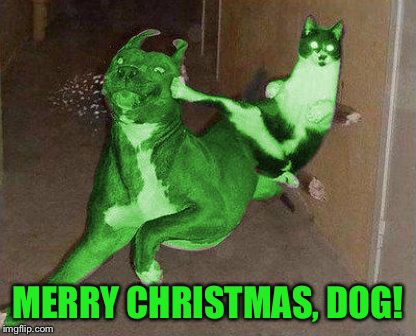 RayCat kicking RayDog | MERRY CHRISTMAS, DOG! | image tagged in raycat kicking raydog | made w/ Imgflip meme maker