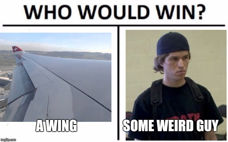 Swiss Air airplanes | A WING; SOME WEIRD GUY | image tagged in wings | made w/ Imgflip meme maker