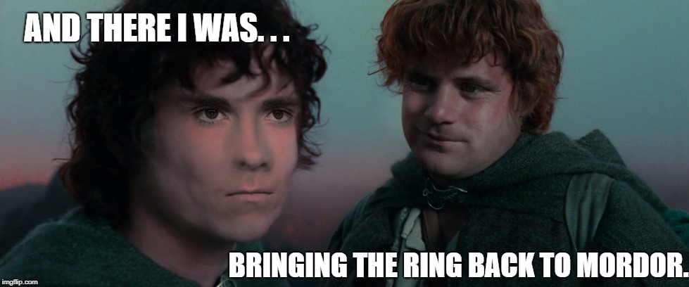 Lord of The Hoggs | AND THERE I WAS. . . BRINGING THE RING BACK TO MORDOR. | image tagged in hobbit lord of the rings,frodo | made w/ Imgflip meme maker