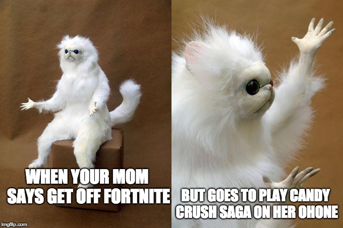 Persian Cat Room Guardian | BUT GOES TO PLAY CANDY CRUSH SAGA ON HER OHONE; WHEN YOUR MOM SAYS GET OFF FORTNITE | image tagged in memes,persian cat room guardian | made w/ Imgflip meme maker