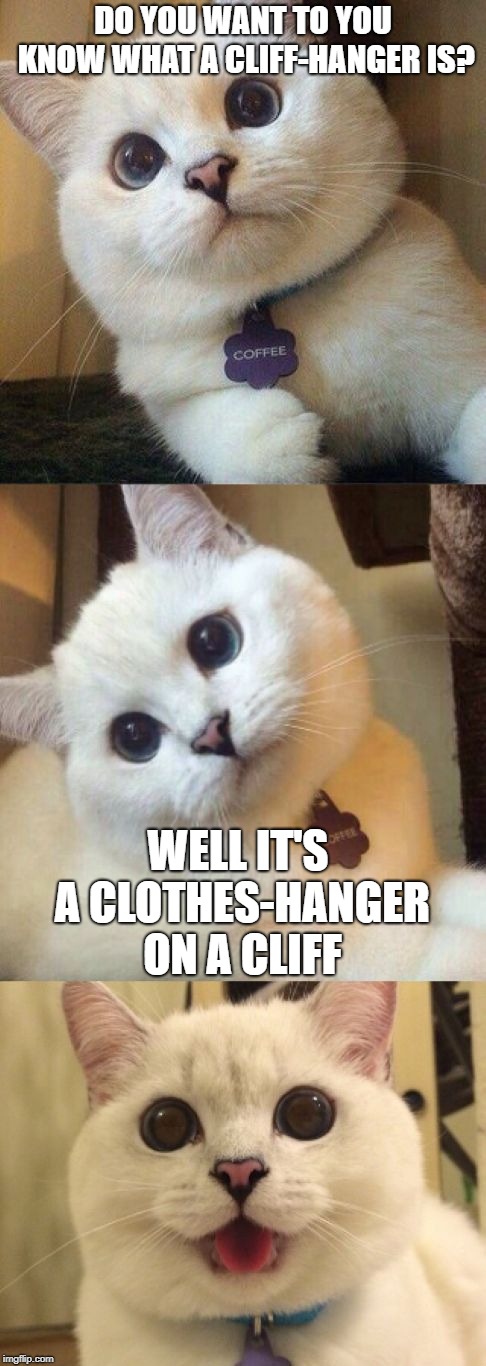 bad pun cat  | DO YOU WANT TO YOU KNOW WHAT A CLIFF-HANGER IS? WELL IT'S A CLOTHES-HANGER ON A CLIFF | image tagged in bad pun cat | made w/ Imgflip meme maker