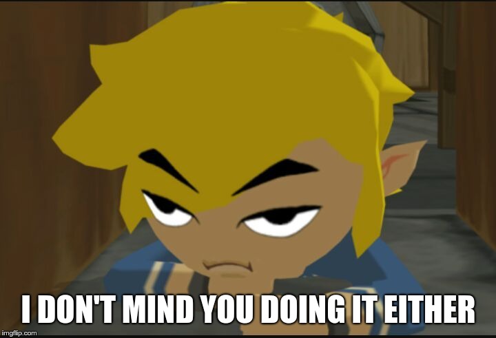 Frustrated Link | I DON'T MIND YOU DOING IT EITHER | image tagged in frustrated link | made w/ Imgflip meme maker