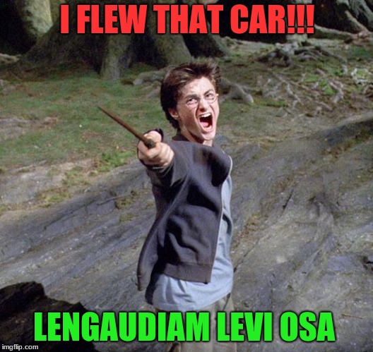 Harry potter | I FLEW THAT CAR!!! LENGAUDIAM LEVI OSA | image tagged in harry potter | made w/ Imgflip meme maker