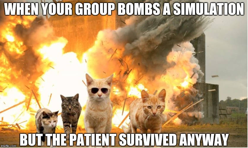 Cats walking away from explosion | WHEN YOUR GROUP BOMBS A SIMULATION; BUT THE PATIENT SURVIVED ANYWAY | image tagged in cats walking away from explosion | made w/ Imgflip meme maker
