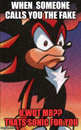 I THINK YOURE THE FAKE HEDGEHOG AROUND HERE!!! | WHEN  SOMEONE CALLS YOU THE FAKE; U WOT M8?? THATS SONIC FOR YOU | image tagged in sonic fanbase reaction,shadow the hedgehog | made w/ Imgflip meme maker