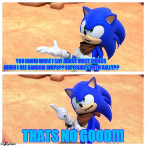 when someone tries to ship sonic and sally and you dont like it | YOU KNOW WHAT I SAY ABOUT MOST THINGS WHEN I SEE RANDOM SHIPS?? ESPECIALLY WITH SALLY?? THATS NO GOOD!!! | image tagged in sonic boom | made w/ Imgflip meme maker