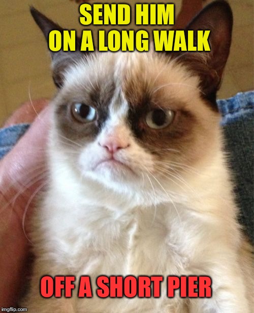Grumpy Cat Meme | SEND HIM ON A LONG WALK OFF A SHORT PIER | image tagged in memes,grumpy cat | made w/ Imgflip meme maker