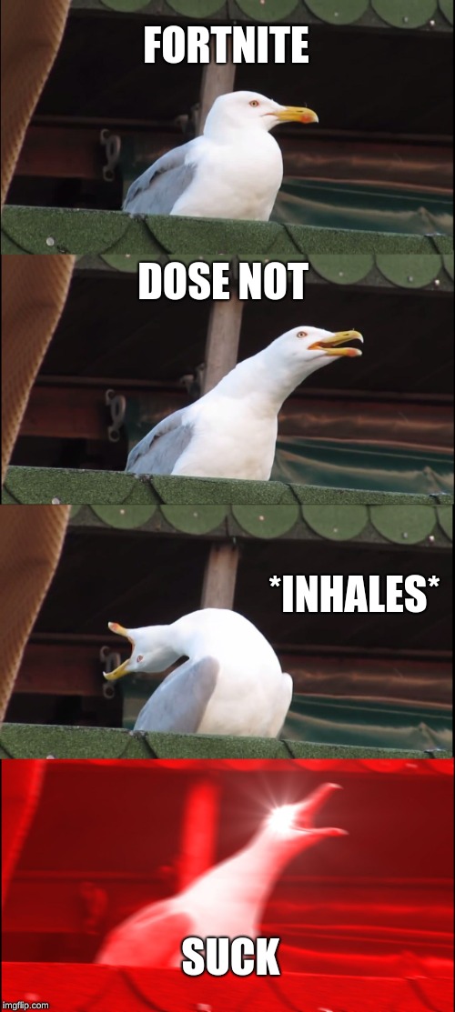 Inhaling Seagull | FORTNITE; DOSE NOT; *INHALES*; SUCK | image tagged in memes,inhaling seagull | made w/ Imgflip meme maker