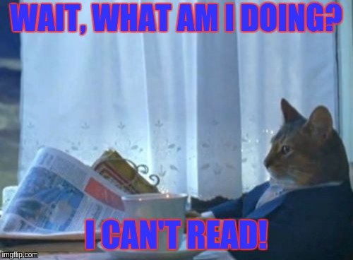 I Should Buy A Boat Cat | WAIT, WHAT AM I DOING? I CAN'T READ! | image tagged in memes,i should buy a boat cat | made w/ Imgflip meme maker