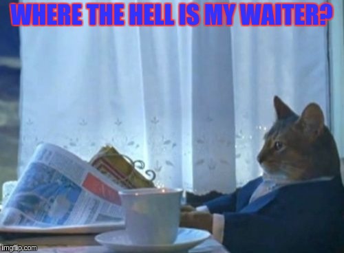 I Should Buy A Boat Cat Meme | WHERE THE HELL IS MY WAITER? | image tagged in memes,i should buy a boat cat | made w/ Imgflip meme maker