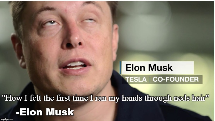 Elon musk | "How I felt the first time I ran my hands through neds hair"; -Elon Musk | image tagged in elon musk | made w/ Imgflip meme maker