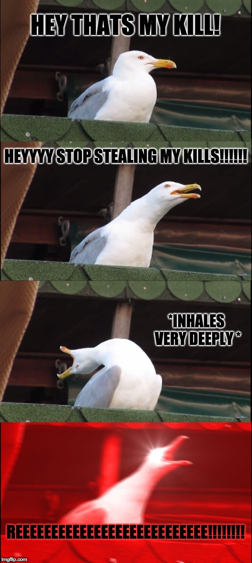 Inhaling Seagull | HEY THATS MY KILL! HEYYYY STOP STEALING MY KILLS!!!!!! *INHALES VERY DEEPLY *; REEEEEEEEEEEEEEEEEEEEEEEEEEE!!!!!!!! | image tagged in memes,inhaling seagull | made w/ Imgflip meme maker
