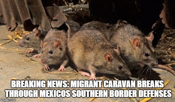 BREAKING NEWS: MIGRANT CARAVAN BREAKS THROUGH MEXICOS SOUTHERN BORDER DEFENSES | image tagged in illegal immigration,illegal aliens,mexico,donald trump,conservatives,republican | made w/ Imgflip meme maker