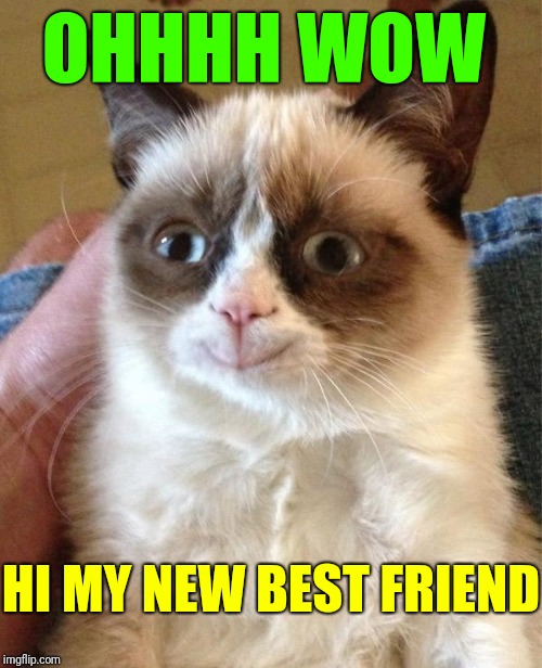 Grumpy Cat Happy Meme | OHHHH WOW HI MY NEW BEST FRIEND | image tagged in memes,grumpy cat happy,grumpy cat | made w/ Imgflip meme maker