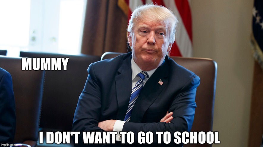 Me on school days | MUMMY; I DON'T WANT TO GO TO SCHOOL | image tagged in trump | made w/ Imgflip meme maker