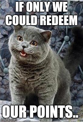 I can has cheezburger cat | IF ONLY WE COULD REDEEM OUR POINTS.. | image tagged in i can has cheezburger cat | made w/ Imgflip meme maker