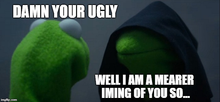 Evil Kermit | DAMN YOUR UGLY; WELL I AM A MEARER IMING OF YOU SO... | image tagged in memes,evil kermit | made w/ Imgflip meme maker