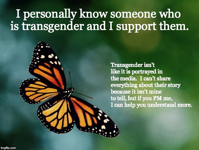 Butterfly | I personally know someone who is transgender and I support them. Transgender isn't like it is portrayed in the media.  I can't share everything about their story because it isn't mine to tell, but if you PM me, I can help you understand more. | image tagged in butterfly | made w/ Imgflip meme maker