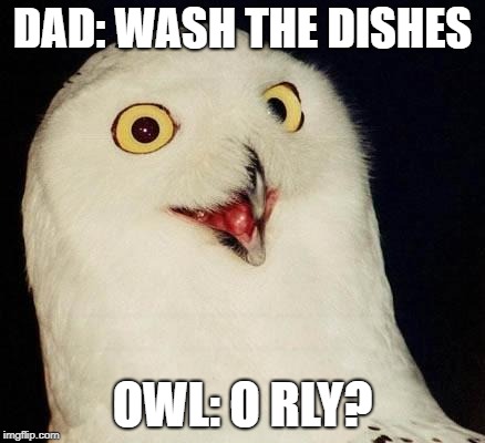 O RLY? | DAD: WASH THE DISHES; OWL: O RLY? | image tagged in o rly | made w/ Imgflip meme maker
