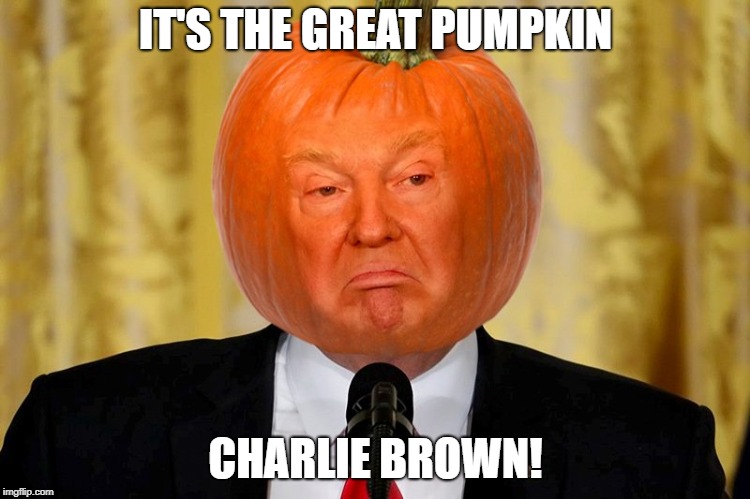 There he is! | IT'S THE GREAT PUMPKIN; CHARLIE BROWN! | image tagged in donald trump,great pumpkin,halloween,republicans,democrats | made w/ Imgflip meme maker