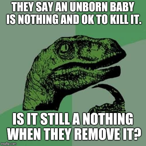 Philosoraptor Meme | THEY SAY AN UNBORN BABY IS NOTHING AND OK TO KILL IT. IS IT STILL A NOTHING WHEN THEY REMOVE IT? | image tagged in memes,philosoraptor | made w/ Imgflip meme maker