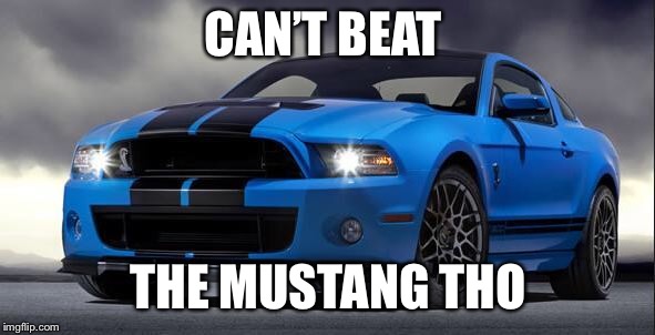 Mustang | CAN’T BEAT THE MUSTANG THO | image tagged in mustang | made w/ Imgflip meme maker