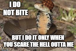 Scumbag Snake | I DO NOT BITE; BUT I DO IT ONLY WHEN YOU SCARE THE HELL OUTTA ME | image tagged in scumbag snake | made w/ Imgflip meme maker