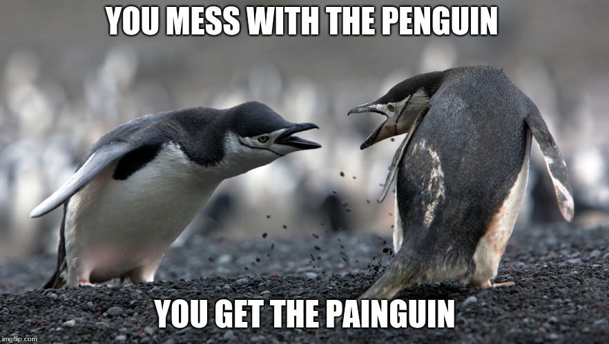 YOU MESS WITH THE PENGUIN; YOU GET THE PAINGUIN | image tagged in penguin,puns | made w/ Imgflip meme maker