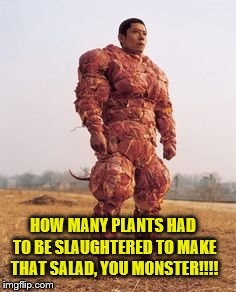 Meat Man | HOW MANY PLANTS HAD TO BE SLAUGHTERED TO MAKE THAT SALAD, YOU MONSTER!!!! | image tagged in meat man | made w/ Imgflip meme maker
