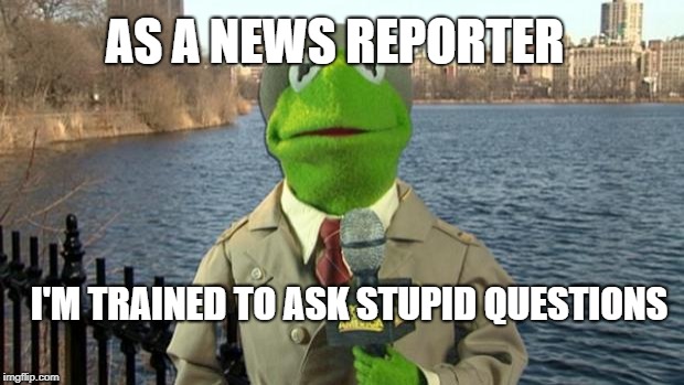Kermit News Report | AS A NEWS REPORTER; I'M TRAINED TO ASK STUPID QUESTIONS | image tagged in kermit news report | made w/ Imgflip meme maker