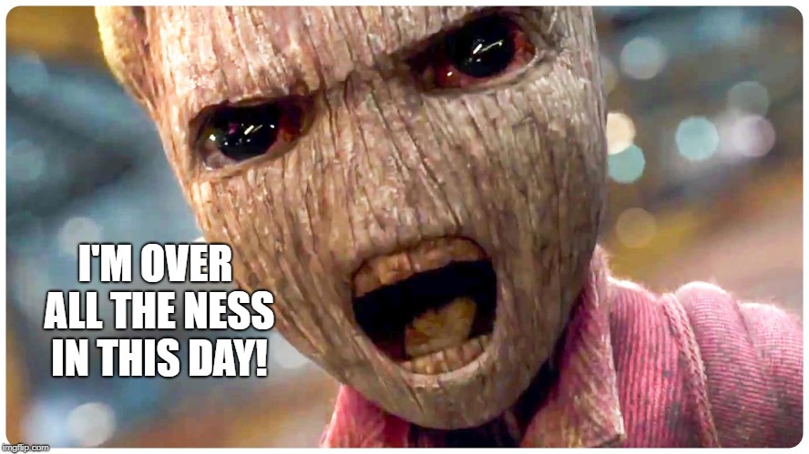 Baby groot angry | I'M OVER ALL THE NESS IN THIS DAY! | image tagged in baby groot angry | made w/ Imgflip meme maker