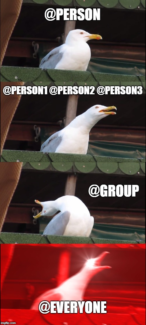 Inhaling Seagull | @PERSON; @PERSON1 @PERSON2 @PERSON3; @GROUP; @EVERYONE | image tagged in memes,inhaling seagull | made w/ Imgflip meme maker