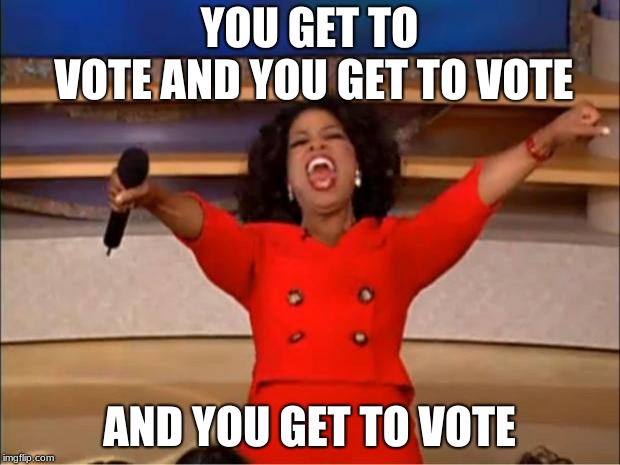 Oprah You Get A Meme | YOU GET TO VOTE
AND YOU GET TO VOTE; AND YOU GET TO VOTE | image tagged in memes,oprah you get a | made w/ Imgflip meme maker
