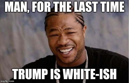 Yo Dawg Heard You | MAN, FOR THE LAST TIME; TRUMP IS WHITE-ISH | image tagged in memes,yo dawg heard you | made w/ Imgflip meme maker