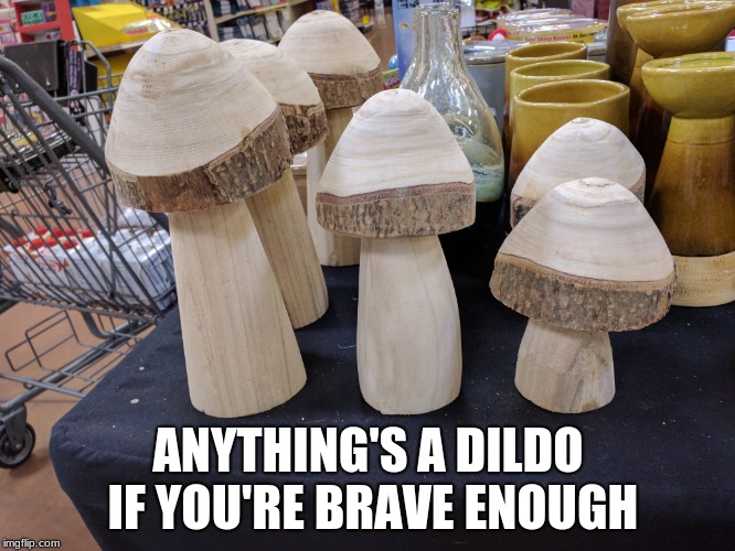 Anything's A Dildo If You're Brave Enough