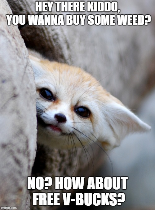 Fennec Fox Creeper, no, just stop it. | HEY THERE KIDDO, YOU WANNA BUY SOME WEED? NO? HOW ABOUT FREE V-BUCKS? | image tagged in hey there | made w/ Imgflip meme maker