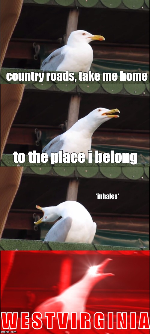 Inhaling Seagull Meme | country roads, take me home; to the place i belong; *inhales*; W E S T V I R G I N I A | image tagged in memes,inhaling seagull | made w/ Imgflip meme maker