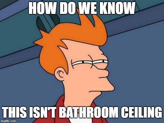 Futurama Fry Meme | HOW DO WE KNOW THIS ISN'T BATHROOM CEILING | image tagged in memes,futurama fry | made w/ Imgflip meme maker