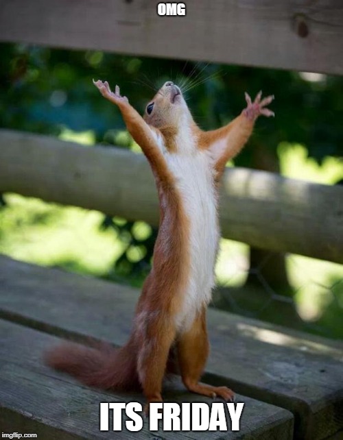 Happy Squirrel | OMG; ITS FRIDAY | image tagged in happy squirrel | made w/ Imgflip meme maker