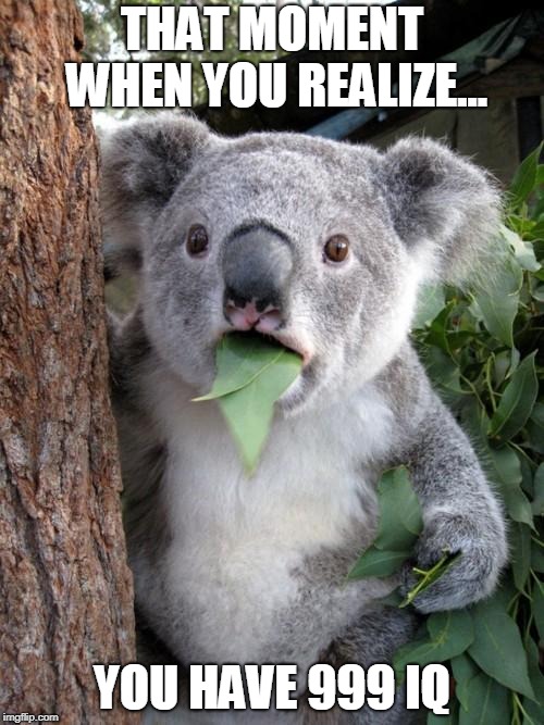 Surprised Koala Meme | THAT MOMENT WHEN YOU REALIZE... YOU HAVE 999 IQ | image tagged in memes,surprised koala | made w/ Imgflip meme maker